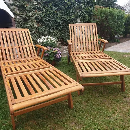 Harznester - Am Horstberg